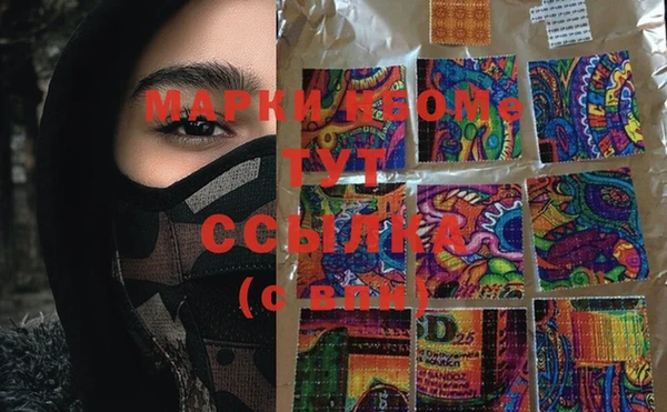 шишки Ачинск