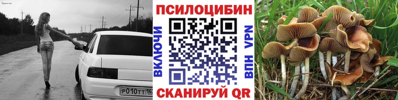 Галлюциногенные грибы MAGIC MUSHROOMS как найти наркотики Дмитровск